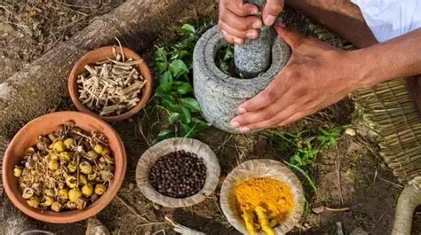 Medicina Tradicional